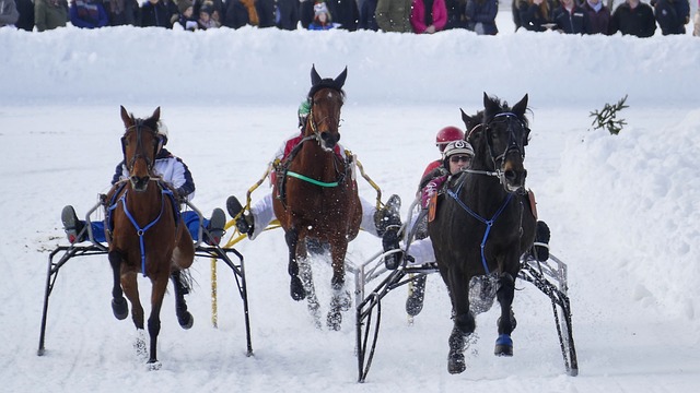 与肖国栋的 与肖国栋的