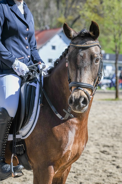 在他加入后 在他加入后