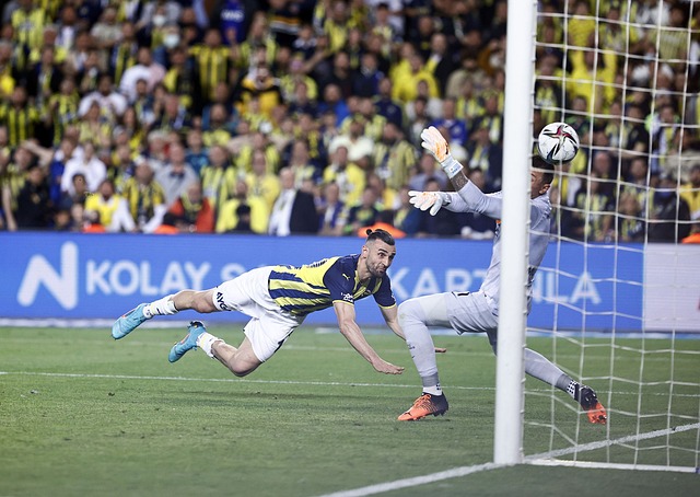 以成功案例 以成功案例