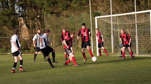 塔选择特罗 塔选择特罗