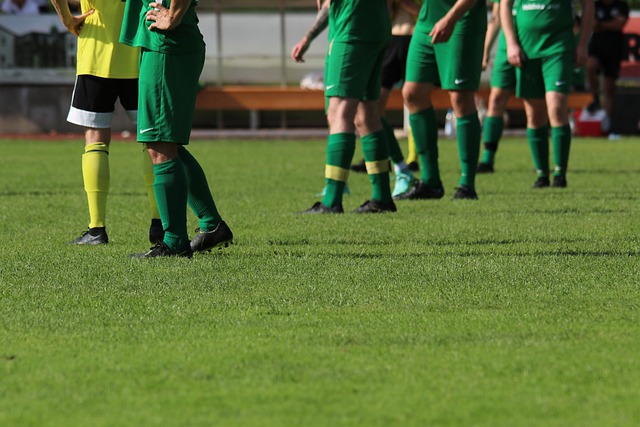 球智慧和经 球智慧和经