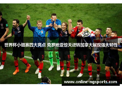 世界杯小组赛四大亮点 克罗地亚惊天逆转加拿大展现强大韧性
