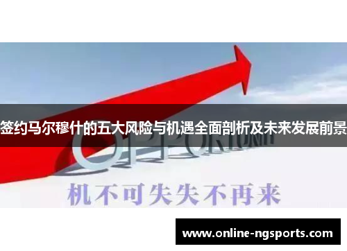 签约马尔穆什的五大风险与机遇全面剖析及未来发展前景