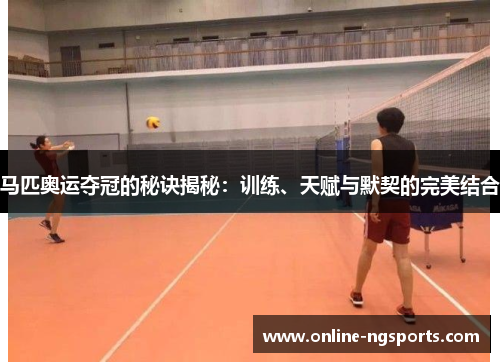 马匹奥运夺冠的秘诀揭秘:训练、天赋与默契的完美结合