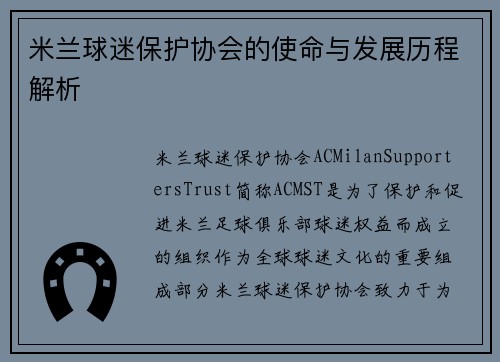 米兰球迷保护协会的使命与发展历程解析